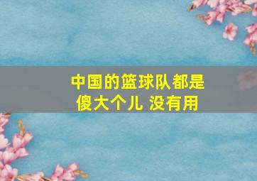 中国的篮球队都是傻大个儿 没有用